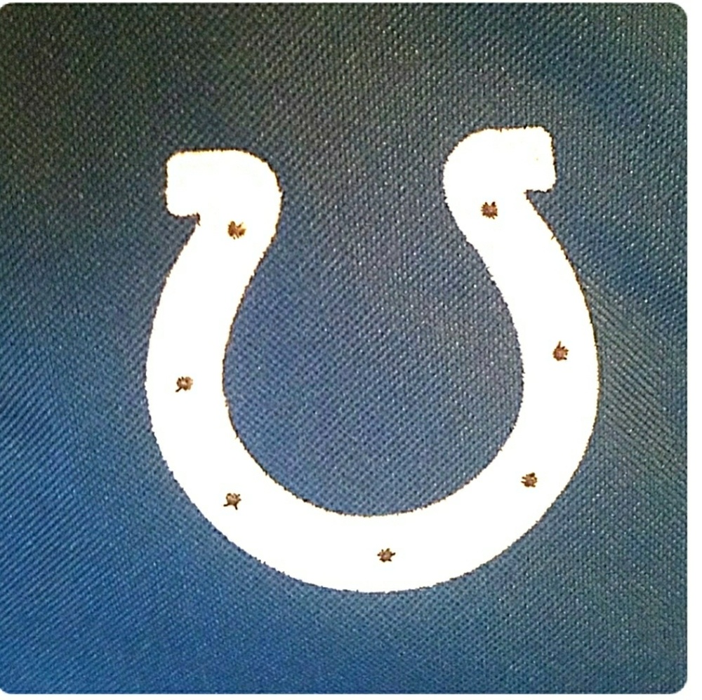 Colts Backpack - Picture 6 of 8